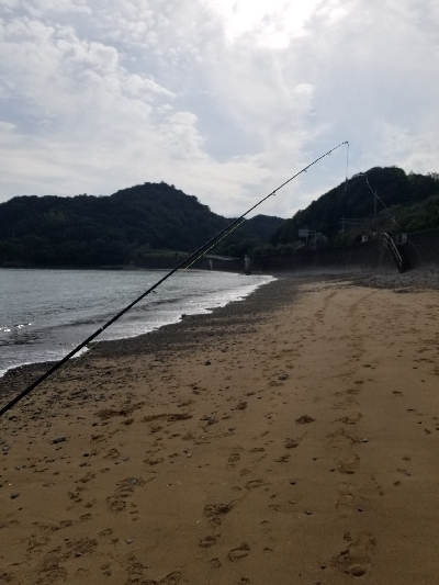 今日は、遅い出発。