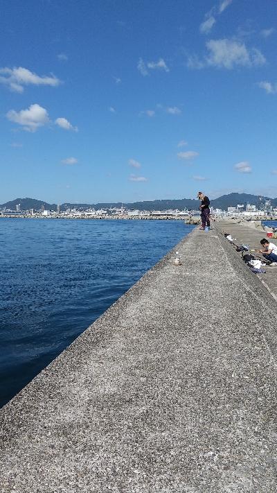 和田防新波止 メジロ62センチ