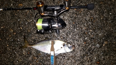 ほんまにおるんかなぁ?