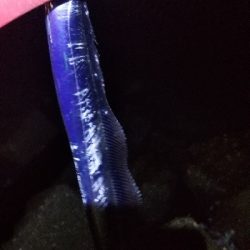 イカとタチウオを狙って。