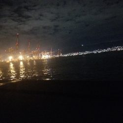 神戸沖堤防半夜結果