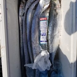 神戸沖堤防午前の部