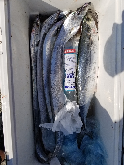 神戸沖堤防午前の部