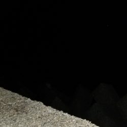 夕マズメのがしたけど。