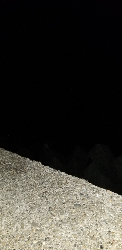 夕マズメのがしたけど。