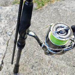 カルモでタチウオ