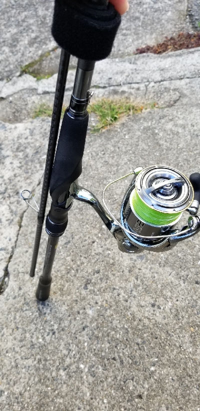 カルモでタチウオ