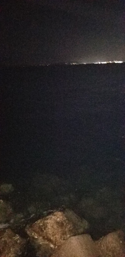 久しぶりの大爆釣　タチウオ