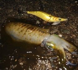 仕事が終わってからの