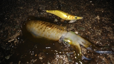 仕事が終わってからの