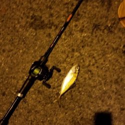 太刀魚狙い スイングアウト三振