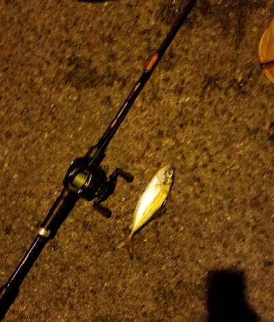 太刀魚狙い スイングアウト三振