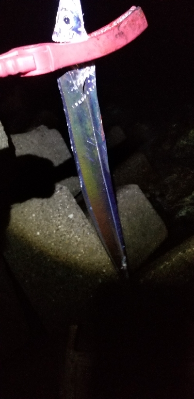 マズメ版タチウオ講座　参考に