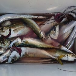 魚の刃～無限バイト編～