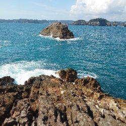 勝浦でグレ釣り