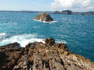 勝浦でグレ釣り