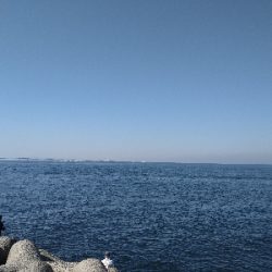 何とか坊主のがれ