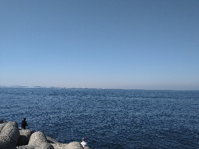 何とか坊主のがれ