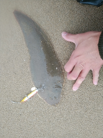 渋い中にも何とかボウズ回避