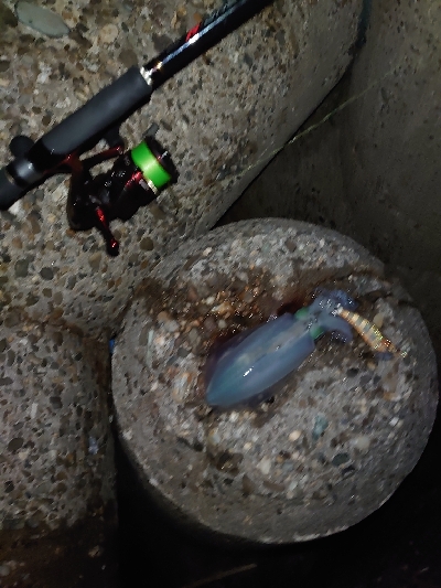 ヨーズリチャレンジ