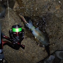 ヨーズリチャレンジその３