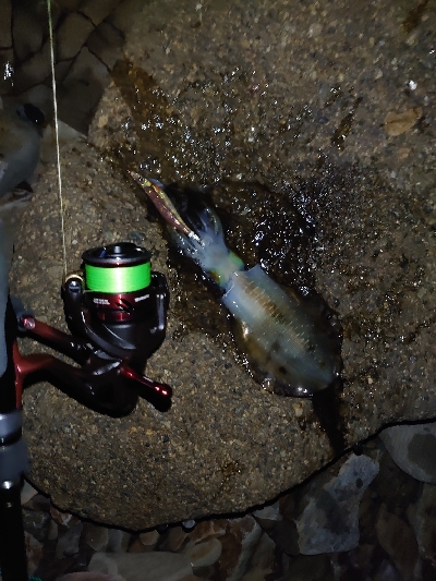 ヨーズリチャレンジその３