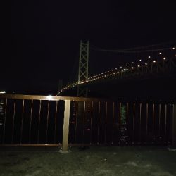 夜な夜なエギング&青物調査