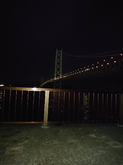 夜な夜なエギング＆青物調査