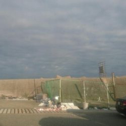 鉄板バイブでタコ