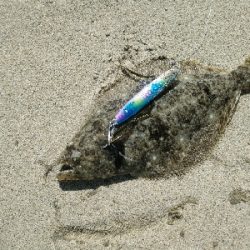 フラット狙うも不発。キスでボウズ逃れ