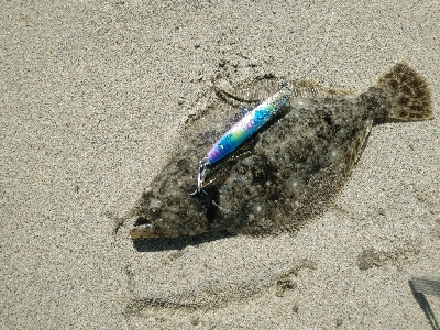 フラット狙うも不発。キスでボウズ逃れ