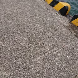 久しぶりの投稿です。