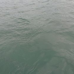 久しぶりにボートキャスティングに行きました！