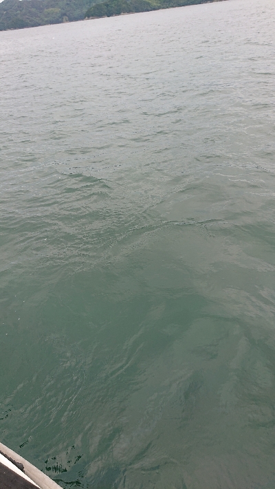 久しぶりにボートキャスティングに行きました！