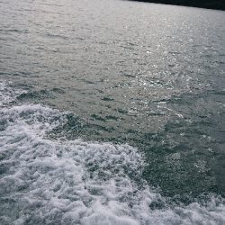 キャスティング！