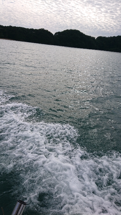 キャスティング！