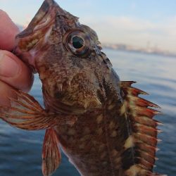 南港ガシリング