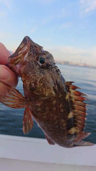 南港ガシリング