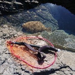 ナナマル座布団