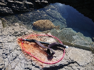 ナナマル座布団