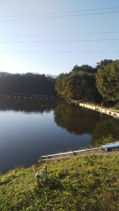 大安トラウトレイク