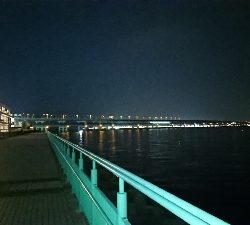 ３日分の坊主回避のガシラくん