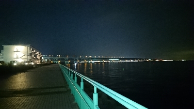 ３日分の坊主回避のガシラくん