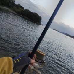 室津のキス釣り