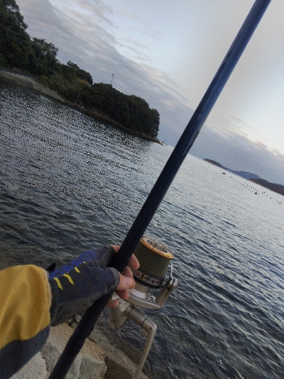 室津のキス釣り