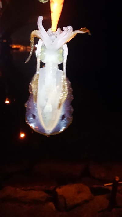 今年はアタリも分かりにくい。