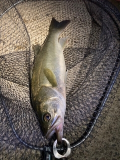 また厳しくなりましたね･・