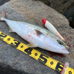 朝日が昇って直ぐに。