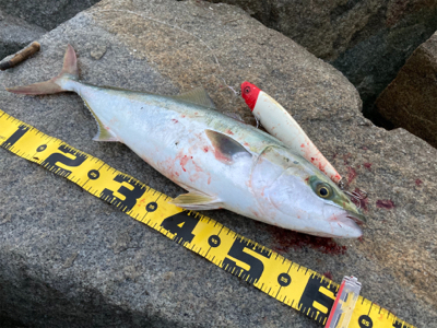 朝日が昇って直ぐに。