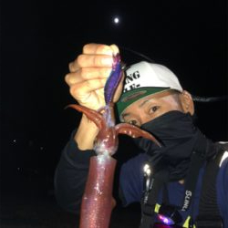 坊勢島で5魚種♪GUNNING-STYLE